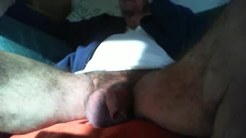 Snapshot of zevioo77 chatting on February 2025 02:00:01 PM zevioo77 online show from February 2025 02:00:01 PM