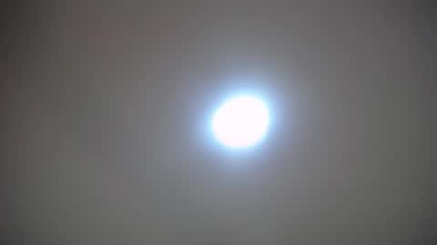 Snapshot of zhara_rose_sub chatting on December 2024 09:21:02 AM Zhara online show from December 2024 09:21:02 AM