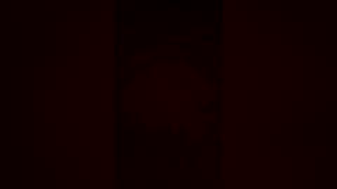 zigggy88 online show from July 2026 04:58:02 AM