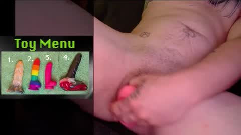 Snapshot of ziggystarpup chatting on March 2026 03:50:01 AM Ziggy online show from March 2026 03:50:01 AM