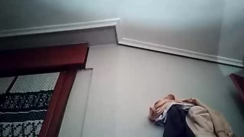 zigor13 online show from March 2026 06:57:01 PM