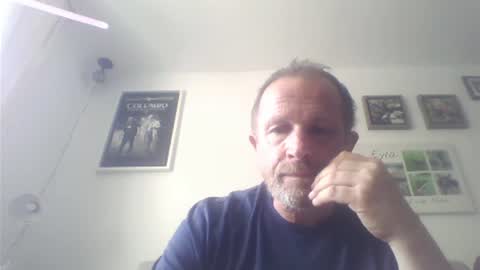 Zippi online show from July 2026 02:45:02 PM