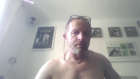 Zippi online show from July 2026 03:28:01 PM