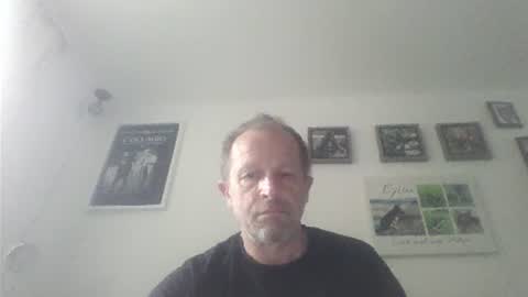Zippi online show from July 2026 05:22:01 AM