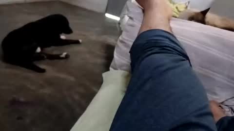 zitojose73 online show from October 2025 06:49:02 PM