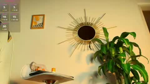Zoe Baker online show from June 2026 11:31:01 PM