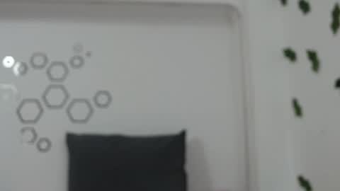 Carolina online show from September 2025 11:18:01 PM