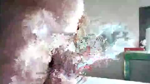 zogum online show from November 2025 11:29:01 PM
