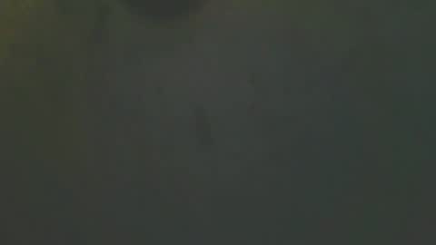 zomma44 online show from May 2026 03:03:02 AM