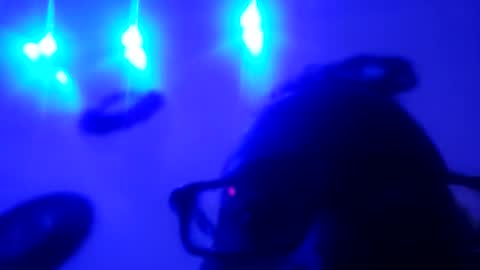 zooted12 online show from May 2026 10:32:02 AM