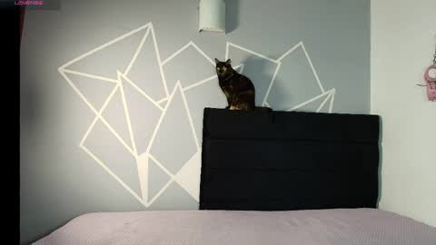 zpzphot online show from March 2026 08:37:01 PM