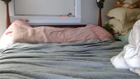 zymase online show from December 2024 02:09:02 AM