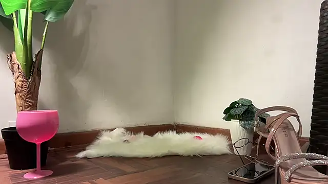 valeria lokitasexy online show from February 2026 03:16:02 AM