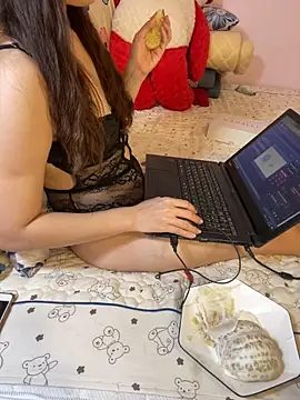 Hoa Bimup online show from December 2024 03:36:01 PM