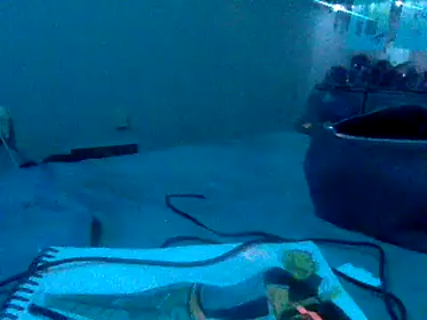 Snapshot of Fr4nk1eFFuxxx chatting on January 2025 09:36:02 AM Fr4nk1eFFuxxx online show from January 2025 09:36:02 AM