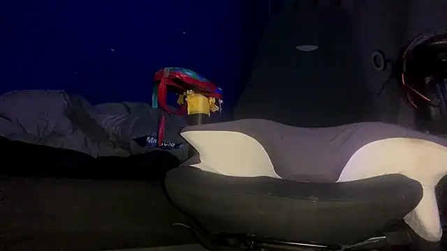 ZandersaSimp online show from December 2025 05:08:02 PM