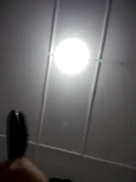 Snapshot of Lia_flowers chatting on November 2025 12:35:01 AM Lia flowers online show from November 2025 12:35:01 AM