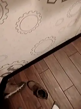 JRock69nKzoo online show from March 2026 12:26:01 AM