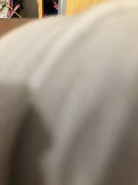 foxy zi online show from February 2026 12:15:01 AM