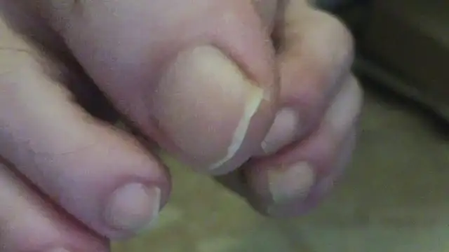 curiosillo83 online show from June 2026 02:35:02 AM