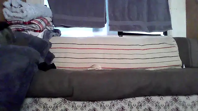 deepstroker42071 online show from March 2026 09:31:01 PM