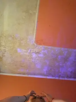 ducicsajsziii online show from March 2025 08:08:01 AM