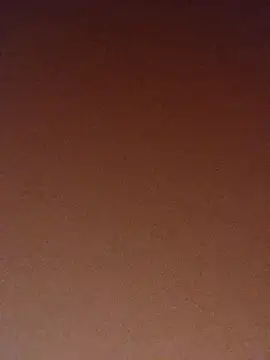 Snapshot of pinaxpack1 chatting on November 2025 04:03:01 AM pinaxpack1 online show from November 2025 04:03:01 AM