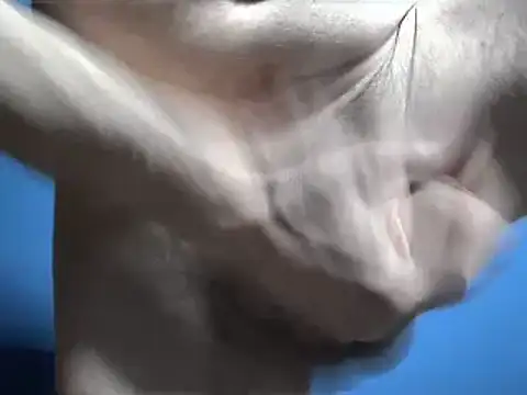 Pol8822 online show from March 2026 11:44:01 PM