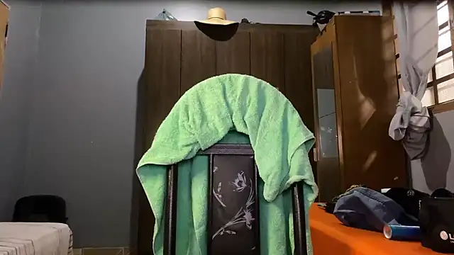 Snapshot of Galeego_DF chatting on March 2026 05:04:01 PM Galeego DF online show from March 2026 05:04:01 PM