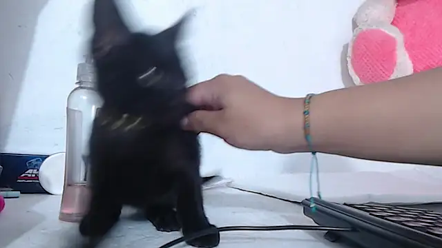 Snapshot of Catalina_naugthy chatting on January 2025 05:29:02 AM Catalina naugthy online show from January 2025 05:29:02 AM