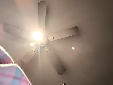 Snapshot of fransexdol chatting on February 2025 10:20:02 PM fransexdol online show from February 2025 10:20:02 PM