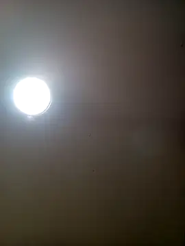 TrainedFinder5 online show from September 2025 08:14:01 PM