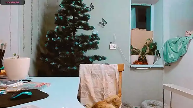 Snapshot of RosaJil chatting on December 2024 03:06:01 PM RosaJil online show from December 2024 03:06:01 PM