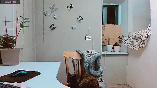 Snapshot of RosaJil chatting on January 2025 04:08:01 PM RosaJil online show from January 2025 04:08:01 PM