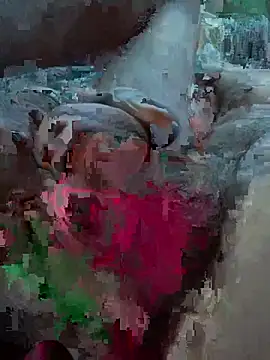 Followthepiper online show from February 2026 12:10:01 AM