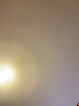 Snapshot of asianmama888 chatting on February 2026 12:41:02 AM asianmama888 online show from February 2026 12:41:02 AM