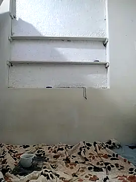 Cameron puppy online show from April 2026 01:59:01 PM