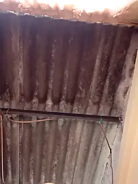 Snapshot of dantero chatting on February 2025 07:25:01 PM dantero online show from February 2025 07:25:01 PM