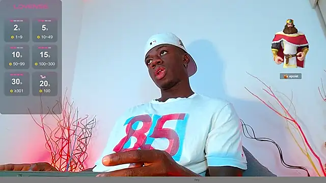 Snapshot of mike_wallace chatting on December 2024 07:54:01 PM mike wallace online show from December 2024 07:54:01 PM