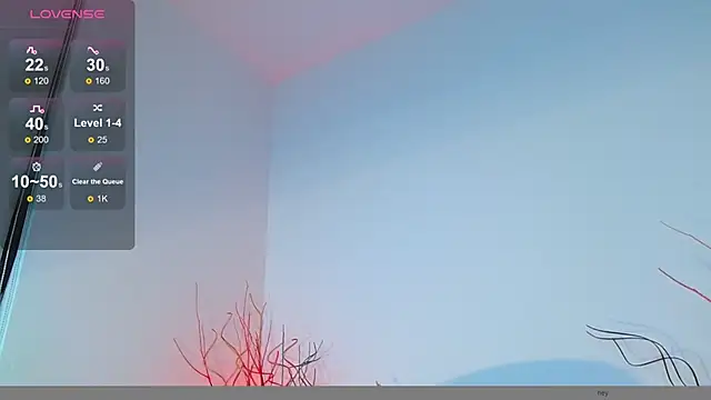 Snapshot of mike_wallace chatting on December 2024 06:21:01 PM mike wallace online show from December 2024 06:21:01 PM