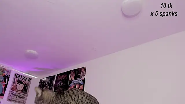 Sachi Meow online show from October 2025 12:00:02 PM