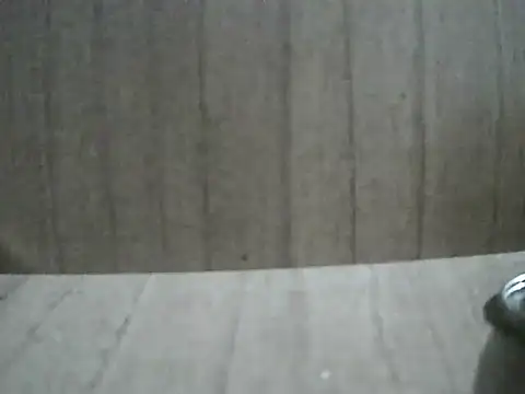 Snapshot of Jason_PD21 chatting on February 2026 01:21:02 PM Jason PD21 online show from February 2026 01:21:02 PM