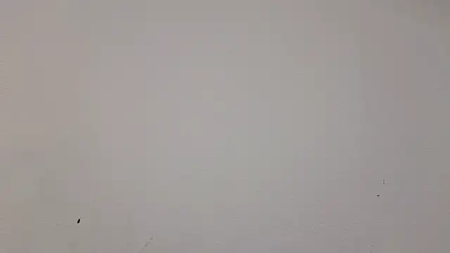   Nina online show from February 2025 01:06:01 PM