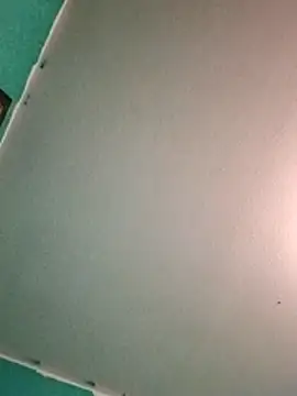 Treemandude online show from June 2026 05:57:01 AM