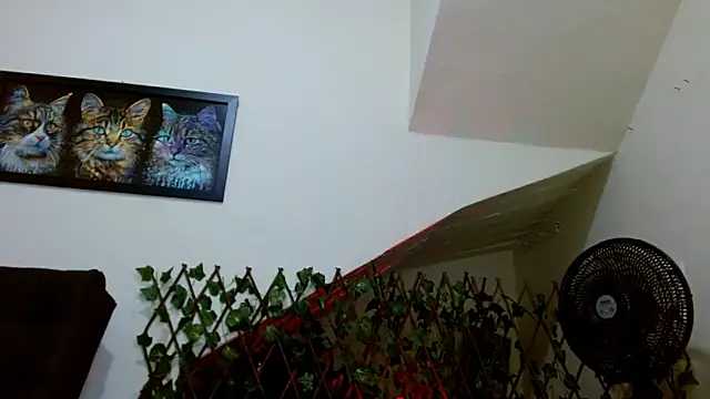 lady scarlettt online show from February 2025 04:39:02 AM