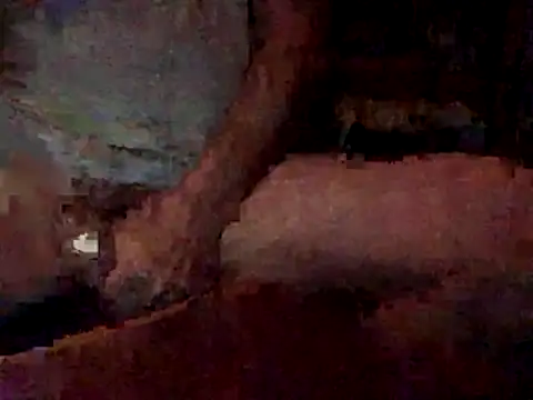 Nodsride online show from December 2025 03:36:01 AM