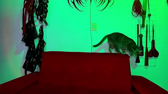 Snapshot of irregular_fetish_ chatting on February 2026 06:59:01 PM irregular fetish online show from February 2026 06:59:01 PM