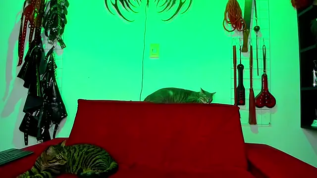 Snapshot of irregular_fetish_ chatting on February 2026 07:46:01 PM irregular fetish online show from February 2026 07:46:01 PM