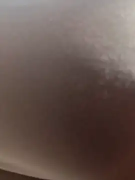 scarlett moore online show from February 2026 03:34:02 PM