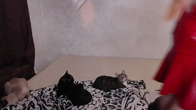 Olivia Winston online show from November 2025 10:58:02 PM